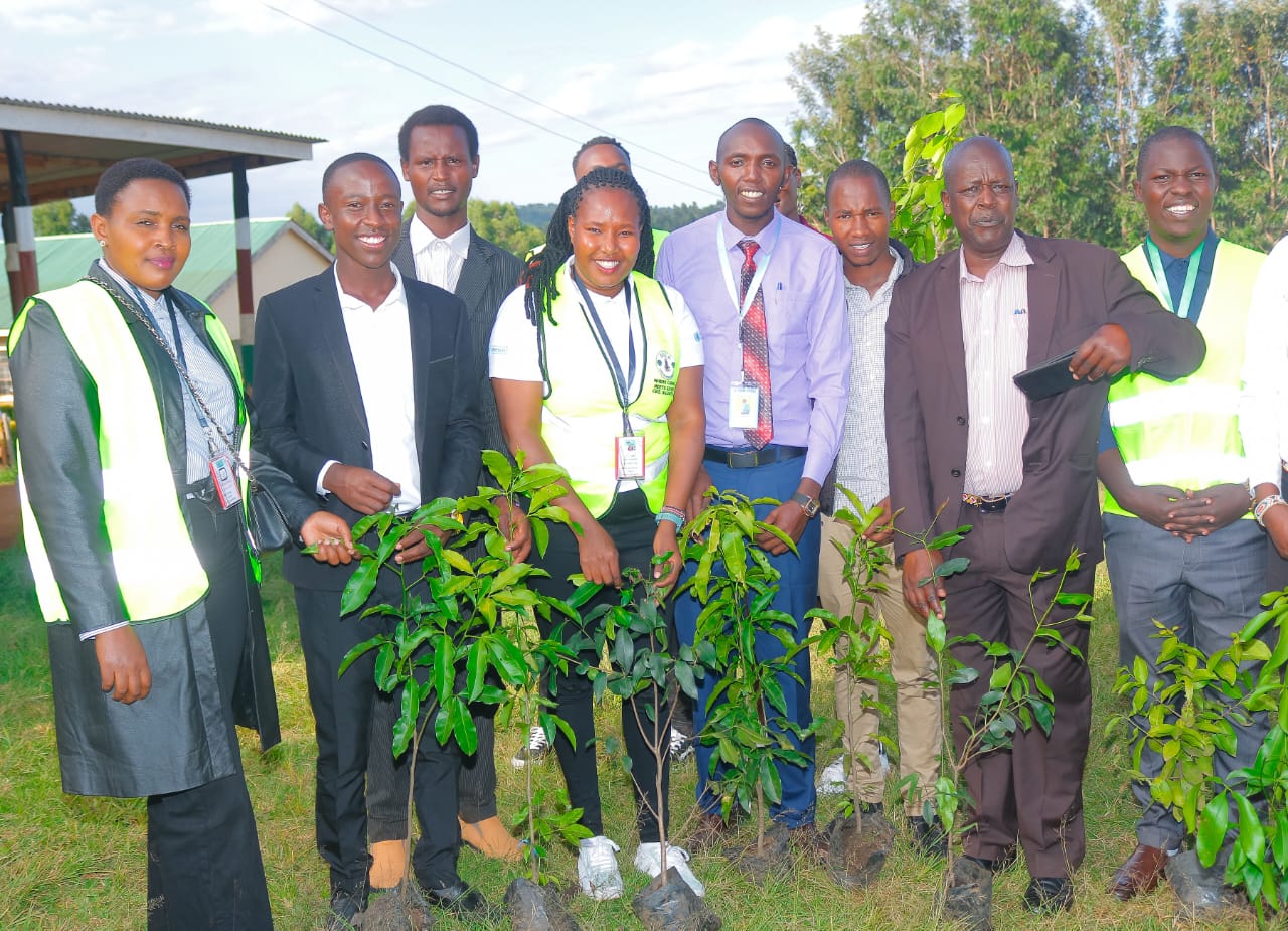 Environmental Sustainability 1